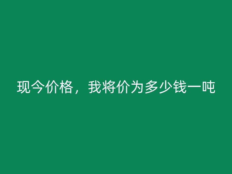 現(xiàn)今價格，我將價為多少錢一噸